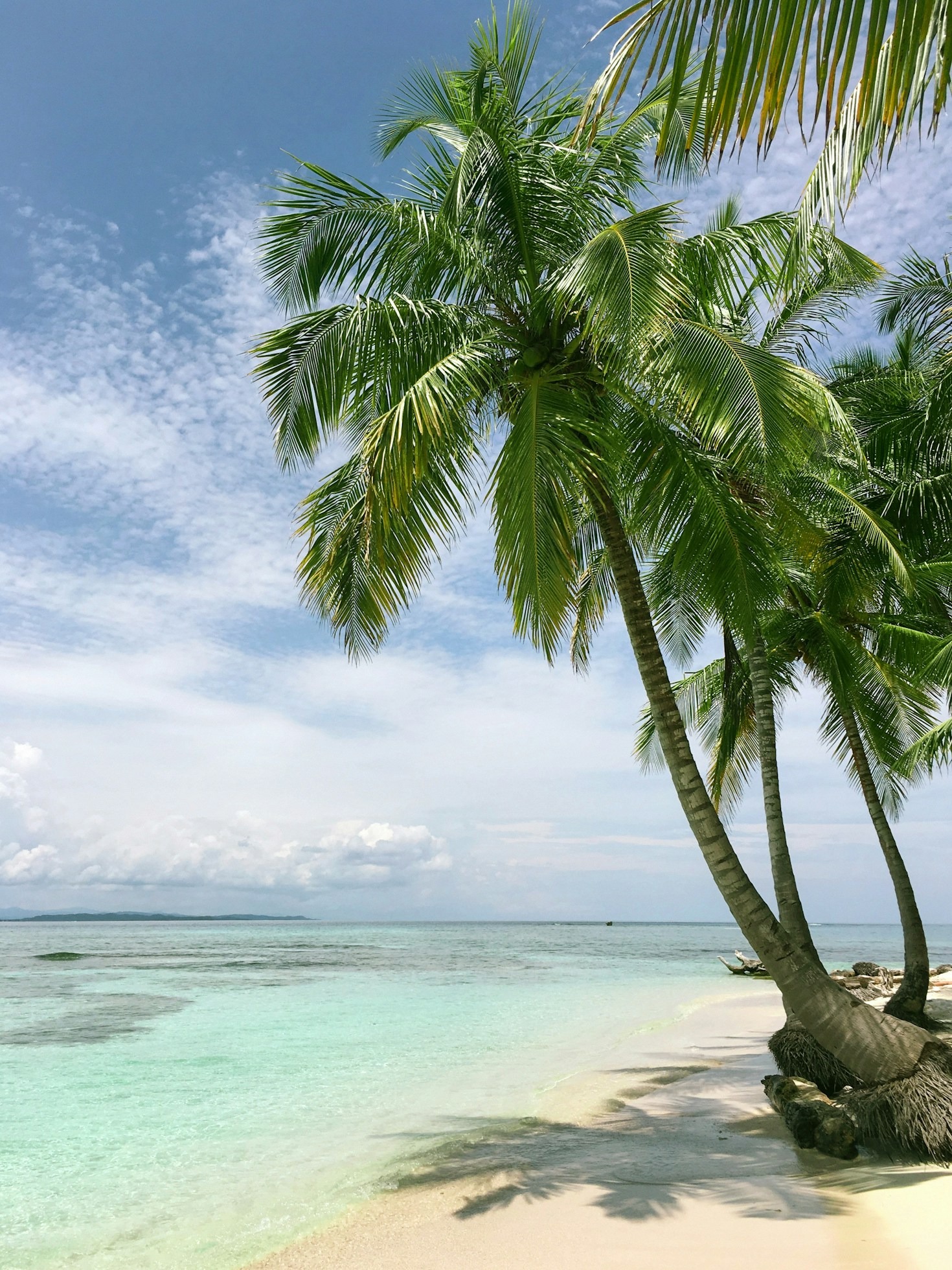 A Rota Ecológica: um paraíso para relaxar e explorar